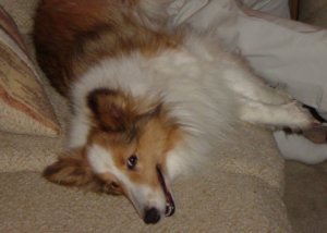 Molly, April 2004