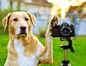 Photographers expand horizons in 2010 Army Digital Photography Contest 110311