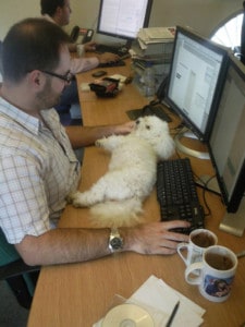 Molly at work