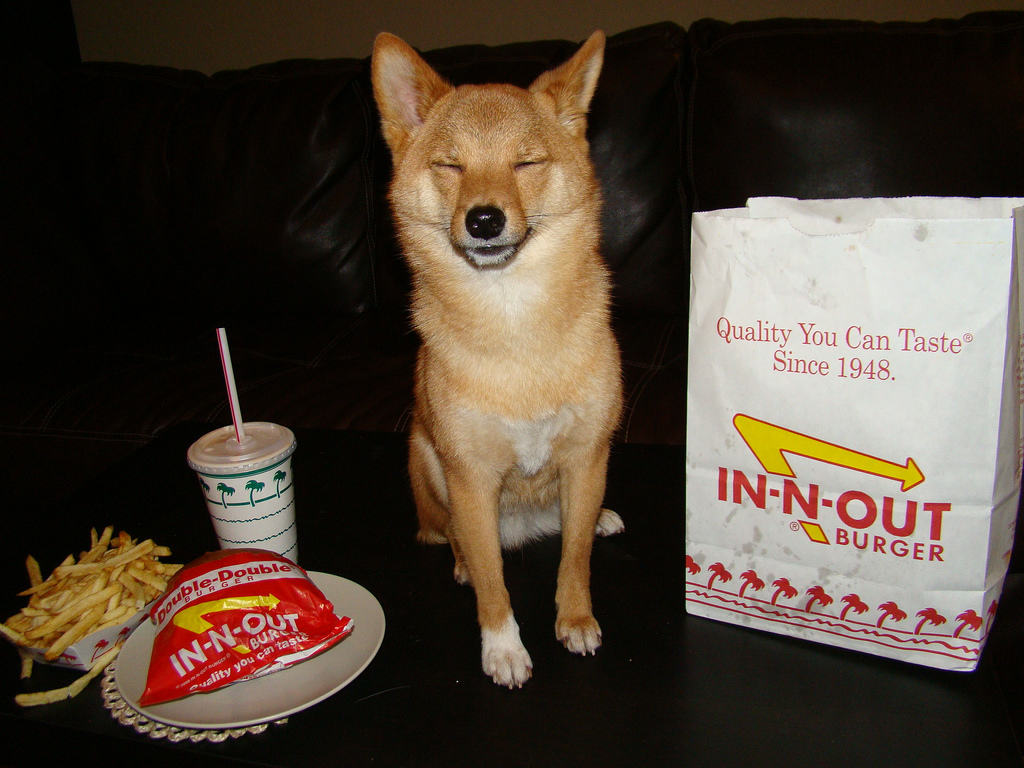 taro shiba's in-n-out advertisement #9