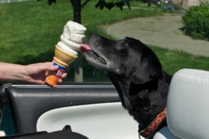 Libby Hospice: Another Ice Cream Cone - Photo 1