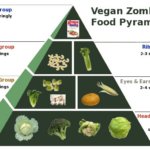 Best High Fiber Dog Food?  What We Recommend Instead