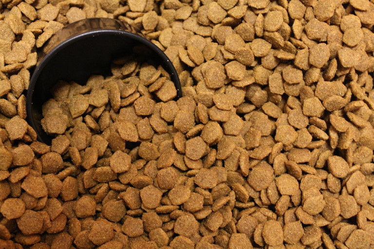 4 Best Low Fat Dog Food For a Healthy Pooch Dakota Says