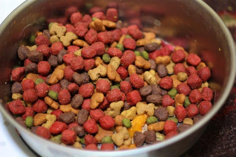 4 Best Dog Food Brands For Border Collies Dakota Says